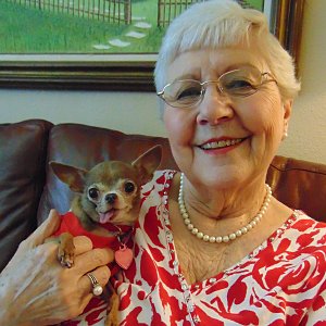 Barbara Corley of Calder Woods with Gracie, her 8-year-old teacup chihuahua.