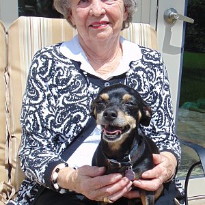 Nancy Bond on her Calder Woods townhome patio with Scout, her 3-year-old “chiweenie.”