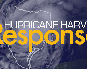 hurricane donation banner