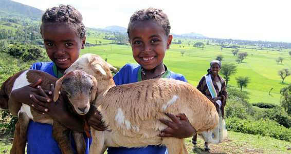 On top of paradise: Buckner in Ethiopia helps family through microenterprise