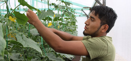 11-08-mexico-hydro-500