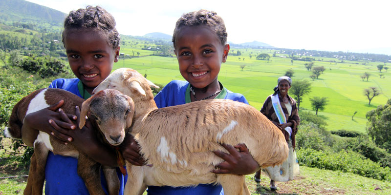 15-02-ethiopia-twins800