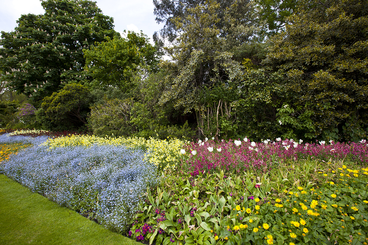 Large flower bed and trees