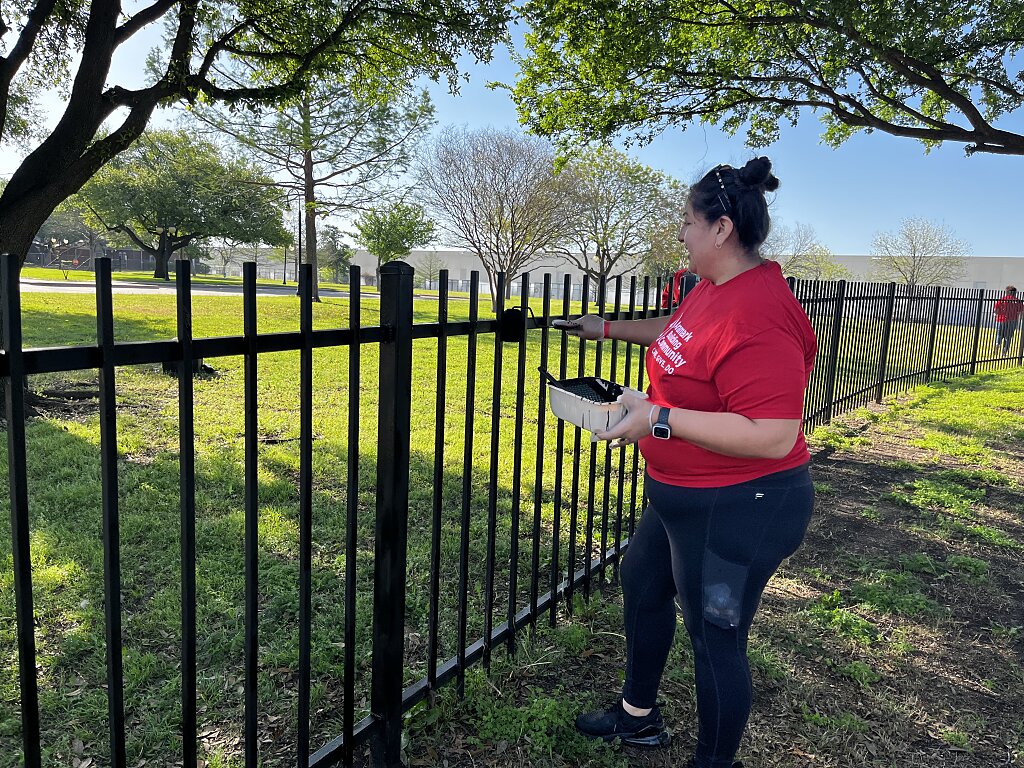 Serving Dallas families