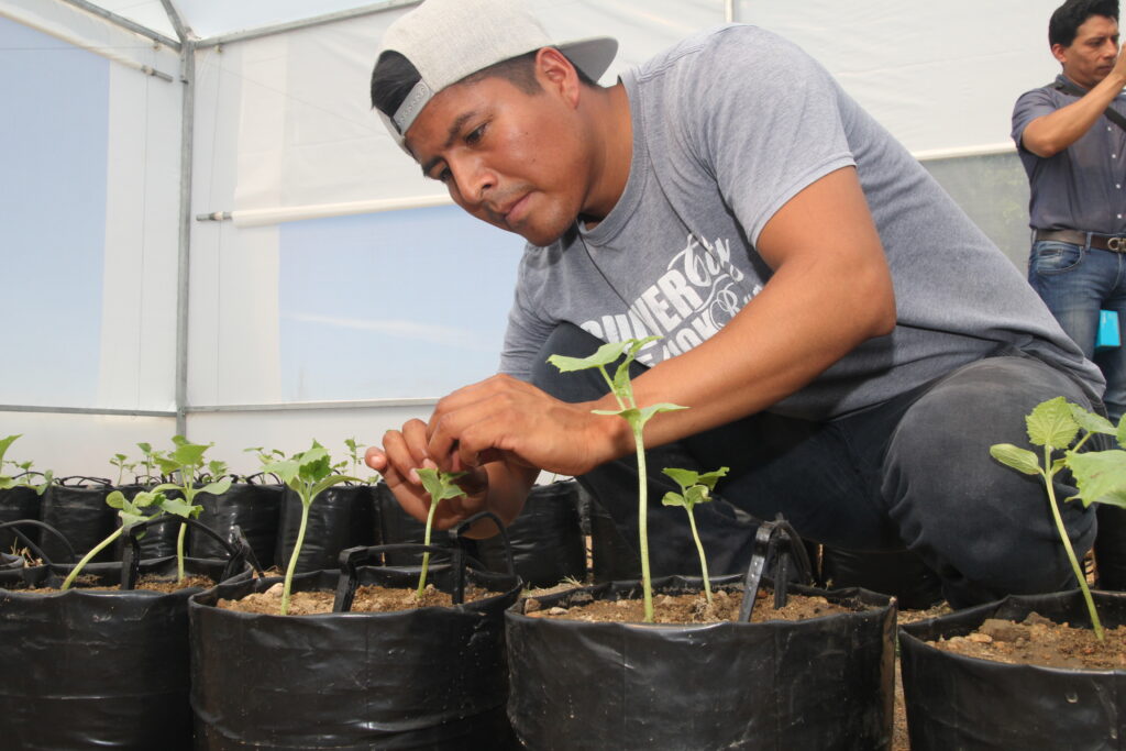 by-incubating-businesses-buckner-is-able-to-help-families-stay-together-in-mexico