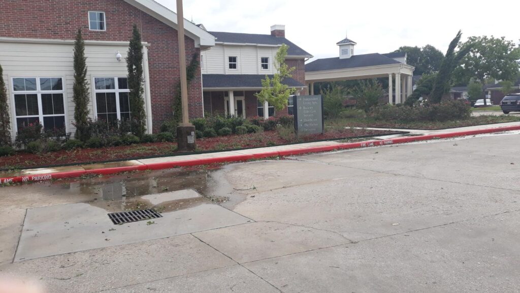 calder-woods-after-hurricane-laura-2020