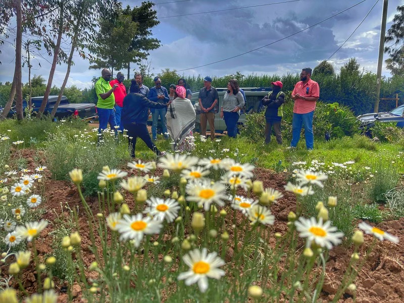 e9cfae66-5ba8-4730-bae5-658f6d5396a1