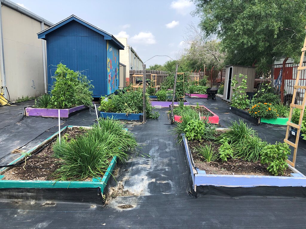 Learning valuable skills as a way to prevent vulnerability