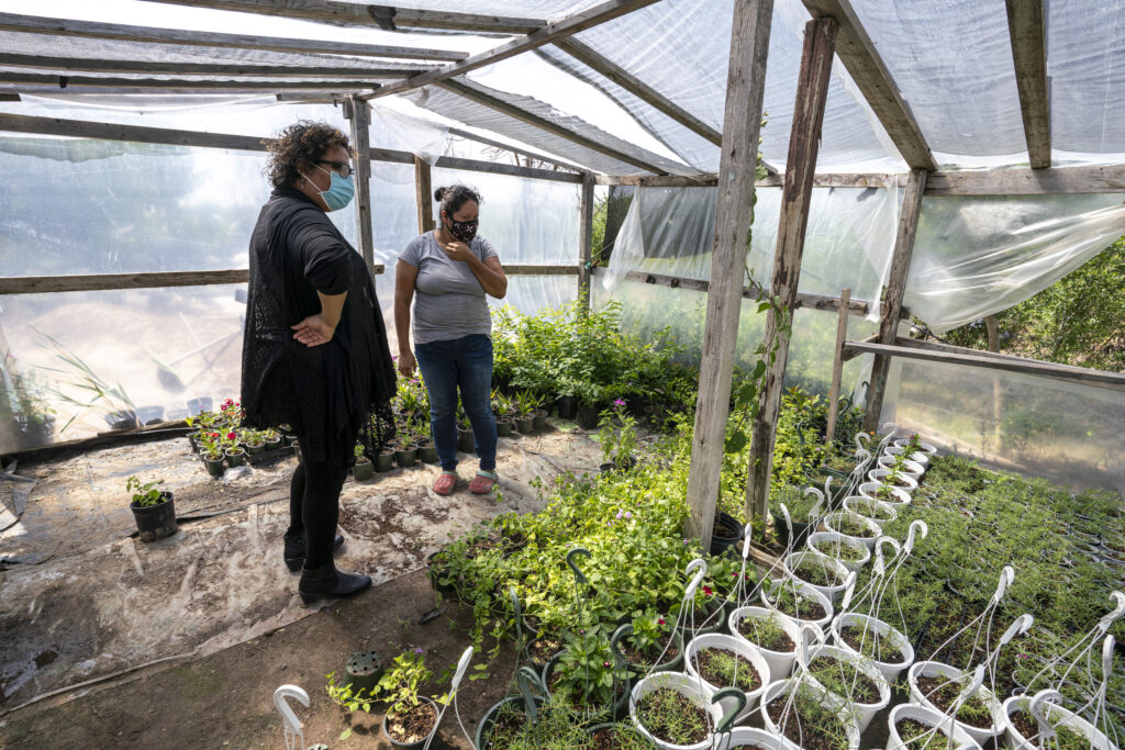 miriam-salinas-has-built-a-successful-garden-business