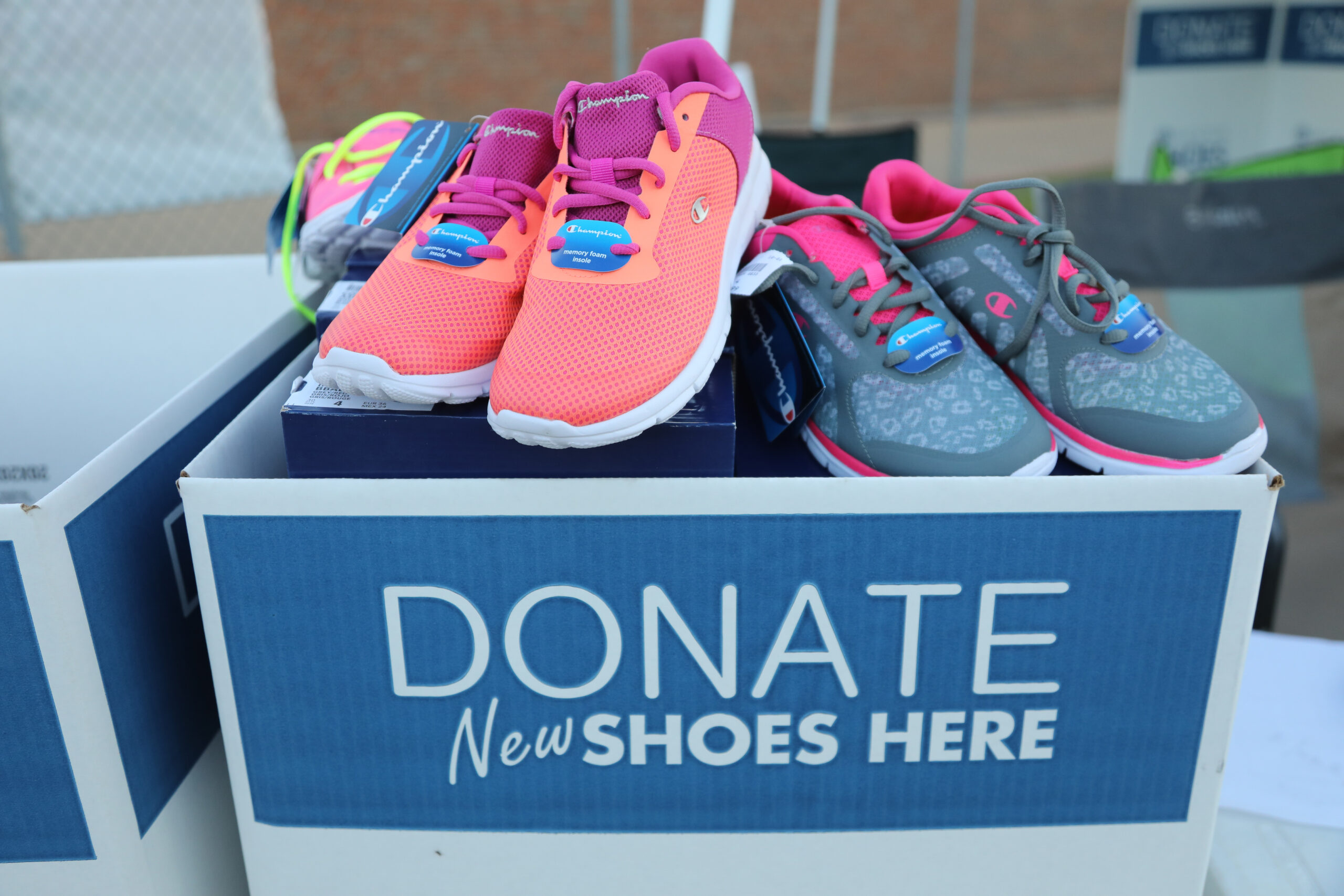 pine_tree_barefoot-86